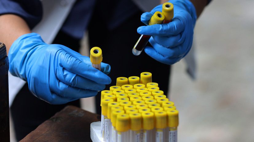 ���������� ������: ���������� ������������ ����������� ������� ����� � ��������� � ���