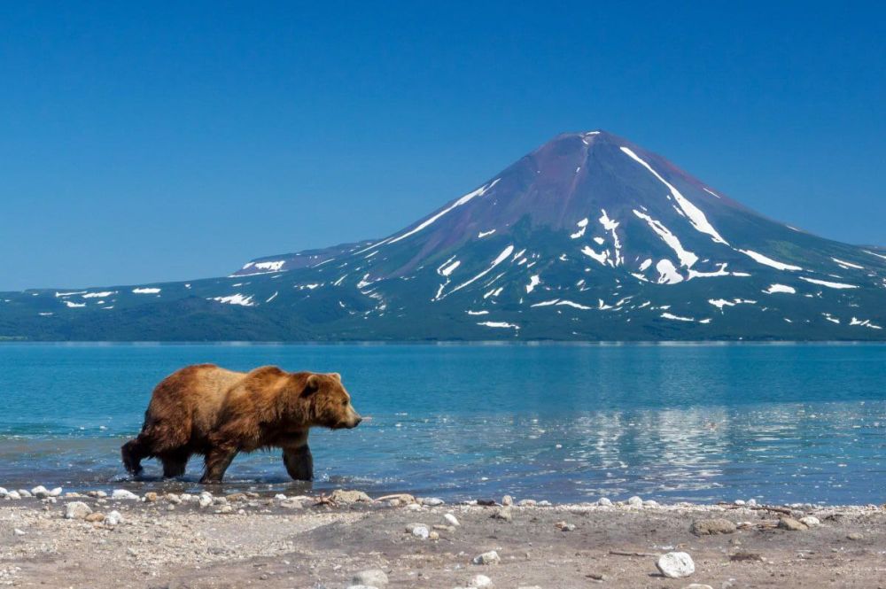 �������� �� �������� � ������� ��������� �������� �� ������������������ ��������