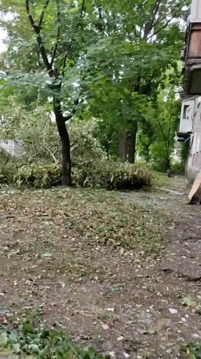����������� ����������� ������� �� ������������� ������ �������