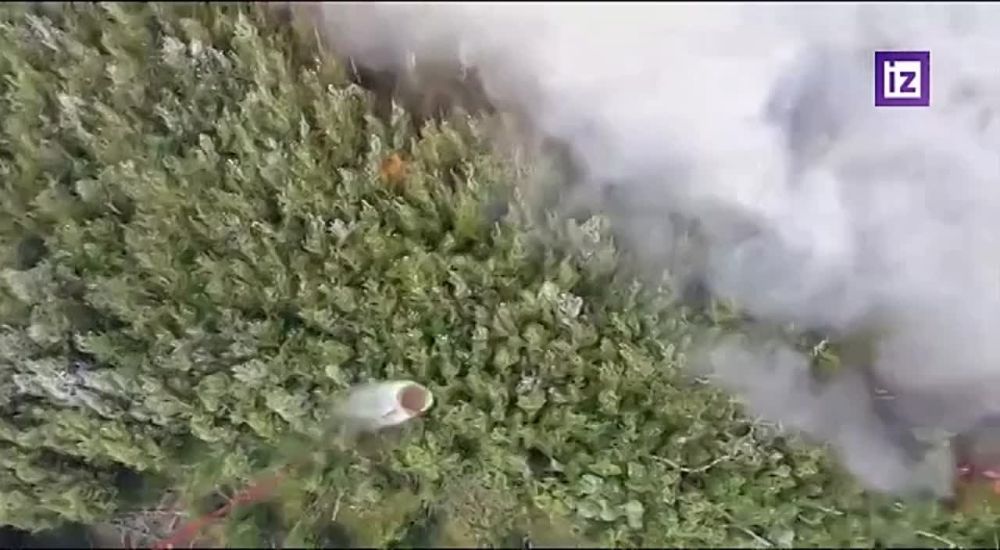 ���������� ��� ���������� ������� ������� ������ � ����-�������� ������ ���������� �������