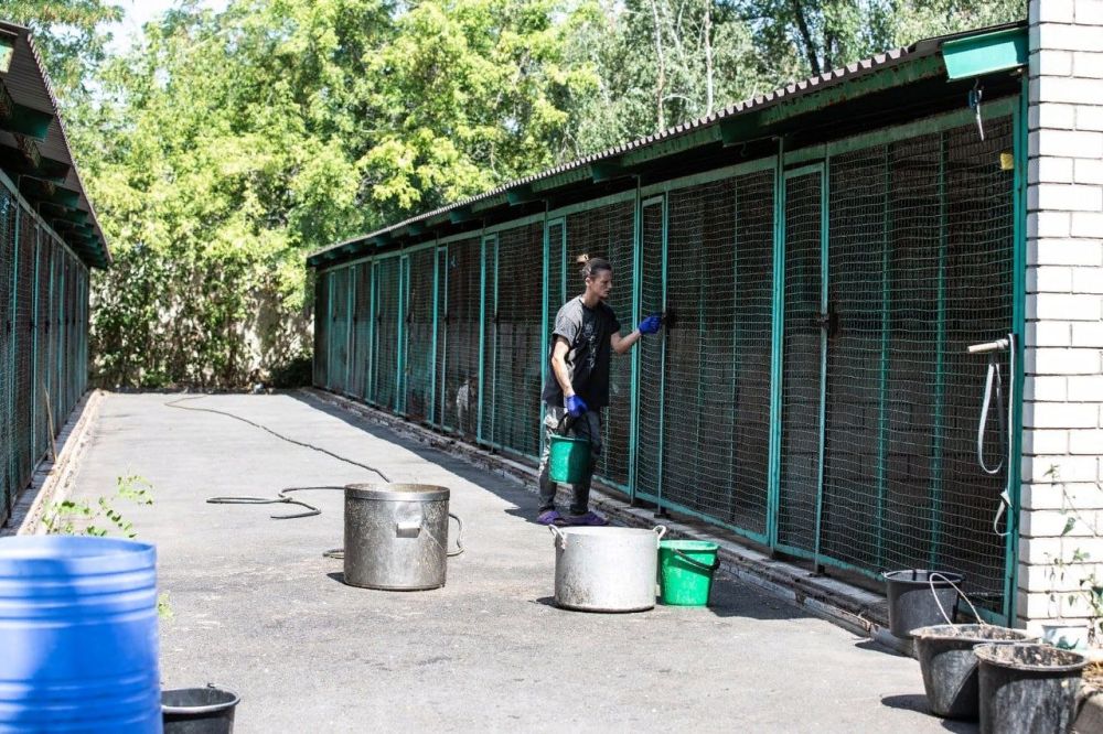 Писатели из РФ собрали средства и пробурили скважину для приюта "ПИФ"