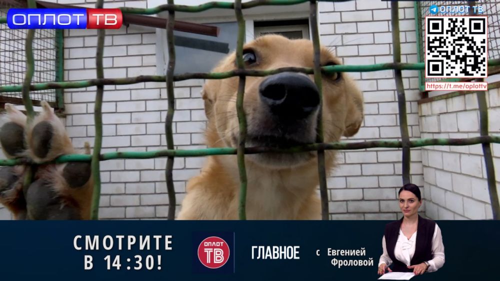 �������� �� 14.30 �� 22.08.2022
