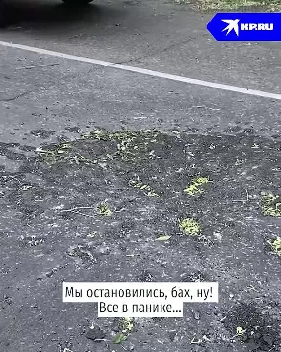 Удары в спину. Сегодня в Донецке прогремела целая серия взрывов. Снаряды ВСУ попали в жилые и социальные объекты. Погибли и пострадали мирные люди. Подробности - в репортаже специального корреспондента "КП" Дмитрия Стешина