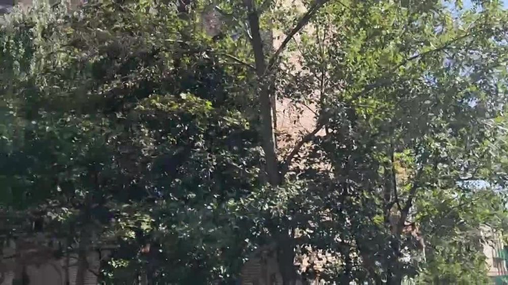 ��� ������� �������������� ���� �� ������ �������� � ������������ �� ���������