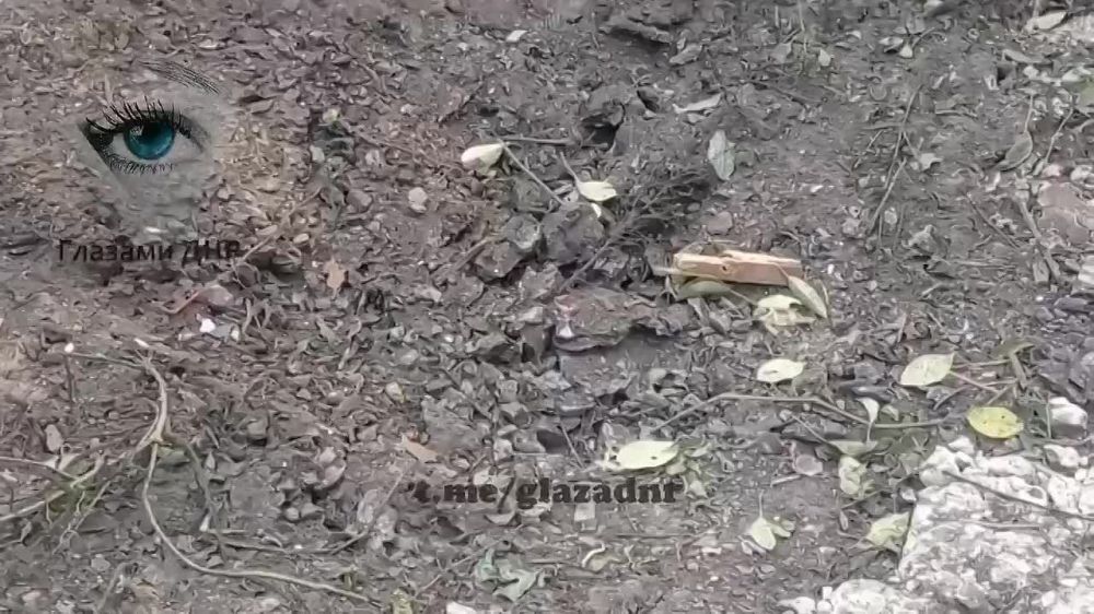 ����������� �������� �� ��. �����������, 7 � ������������ ������ �������