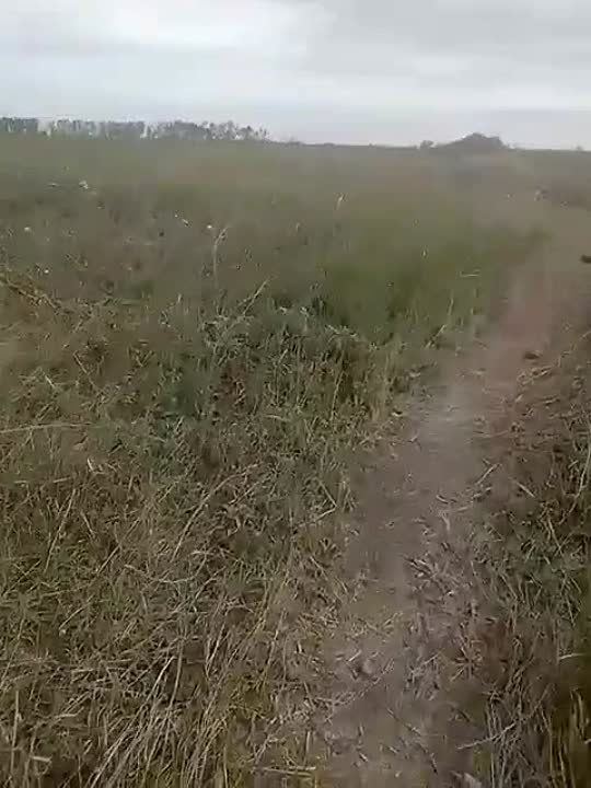 Владлен Татарский: Дохлой хохлятины вам в ленту от доблестного 11-го полка