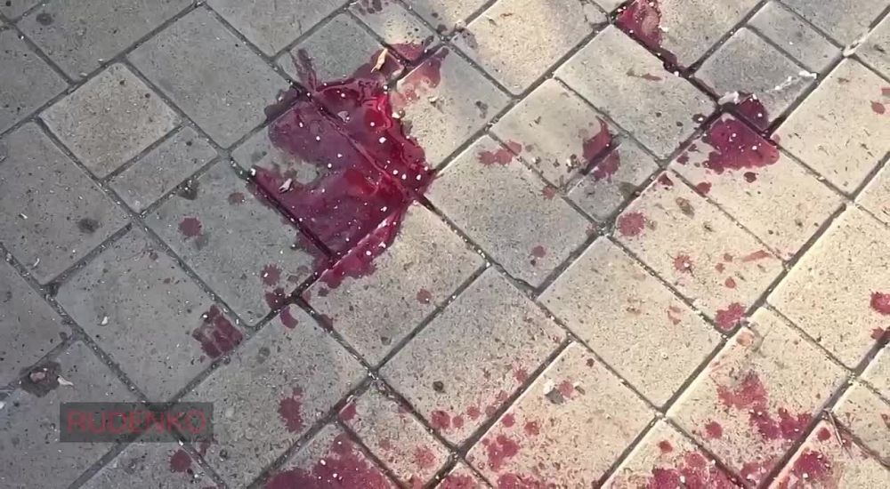 ������ �������: 18++. �������� ���� � ���������� ����� �������� �� ������ �������