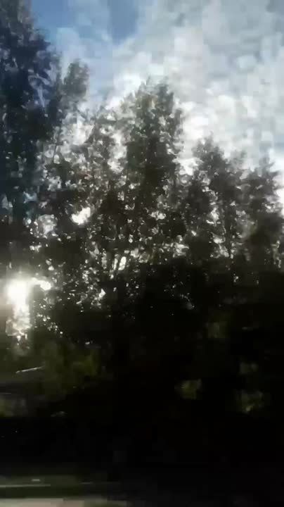������ �������: ���� ��� ������������ �� �������� ����������� ��� ������ ���� ��������� ����������� �� ������� ����������