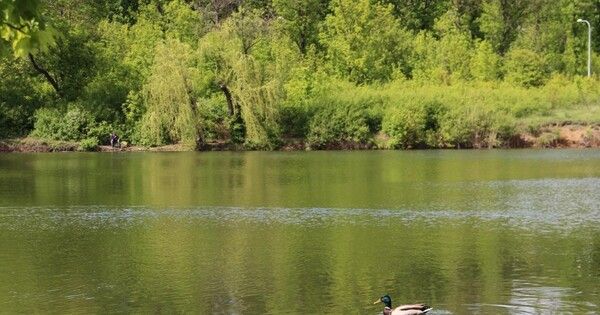 ���������� ���������� ���, ����� �� �������, ���������� ��������� �� ���. ��� ���� � ��� 10 ��������