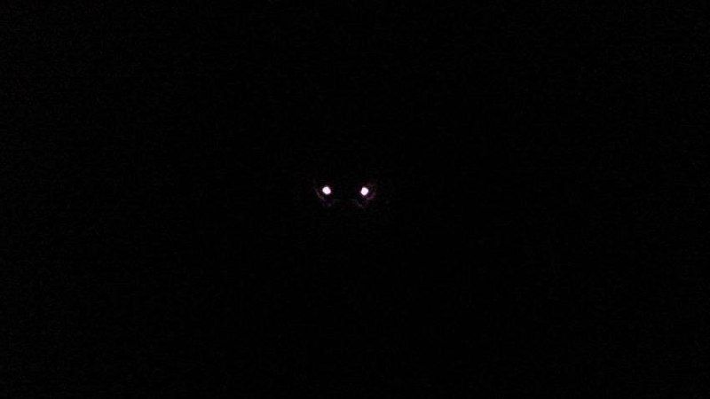 Александр Малькевич: Постараюсь дать расклад из серии #ликбез_от_Малькевича по горячей (горящей!) теме вчерашнего вечера и ночи