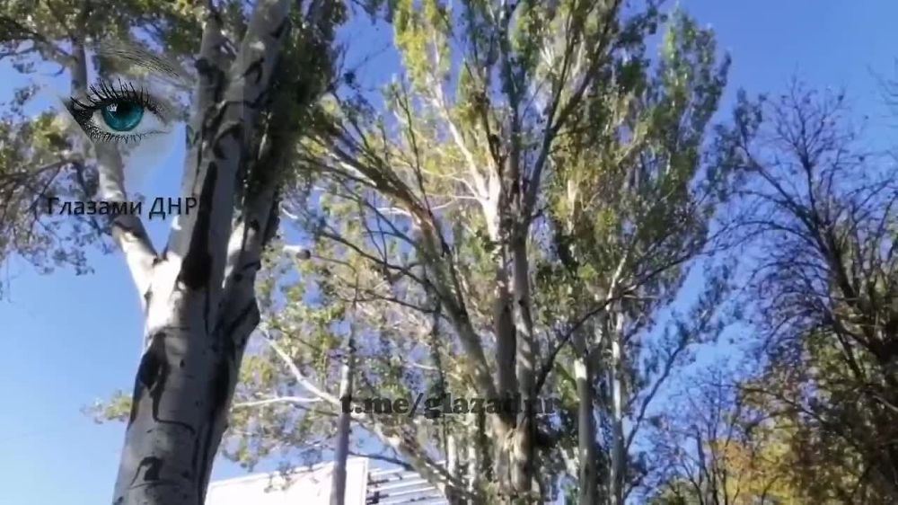 ��������� ���������: ������� ������ ����� ����������� �� ������� ��������, �� ���� � ����