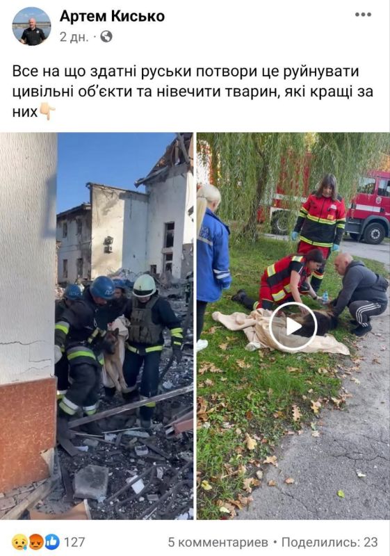 ������ ��������: ��� �����, ����������� ������� �������� ������, ��� ������ ����������������, ����������� � �������� ������ ����� �������������