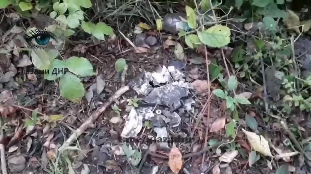 ������ ������� ����� ������ ���� �� ��. ��������-����-��������, 1� � ������������ ������ �������