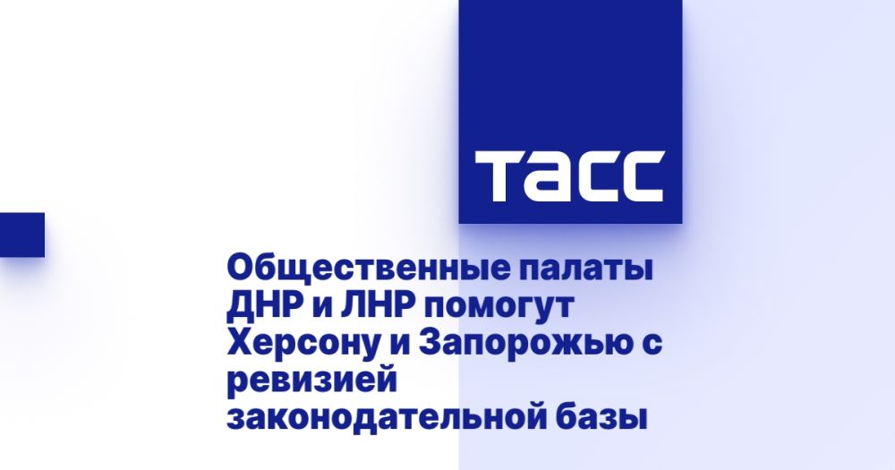 Общественные палаты ДНР и ЛНР помогут Херсону и Запорожью с ревизией законодательной базы