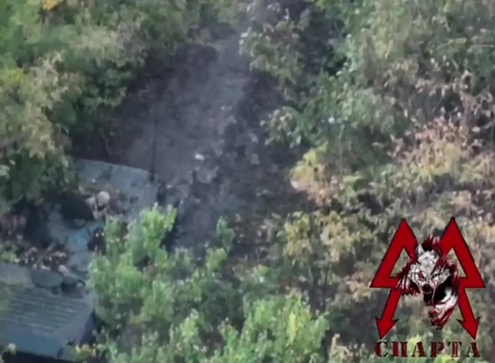 �������������� ��������� "������" �� ��� ����� �������� ��� � ����������� � ������ �������� �� �������� ����������� ������
