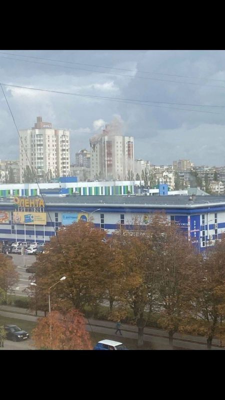 ������ �������: ���� ������� ������ �� ������