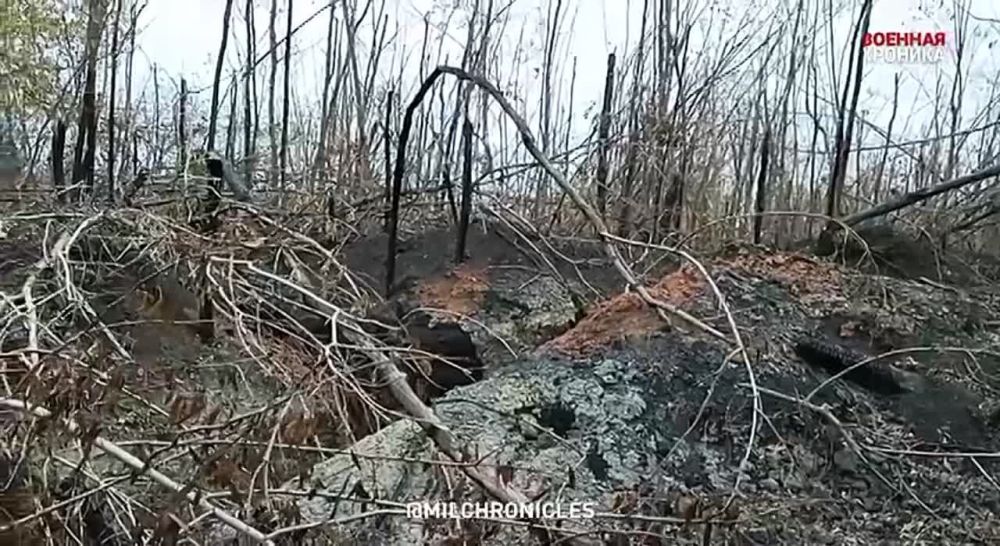 �������� ��� ��������: ��� ������ ������� � ������������ �����������