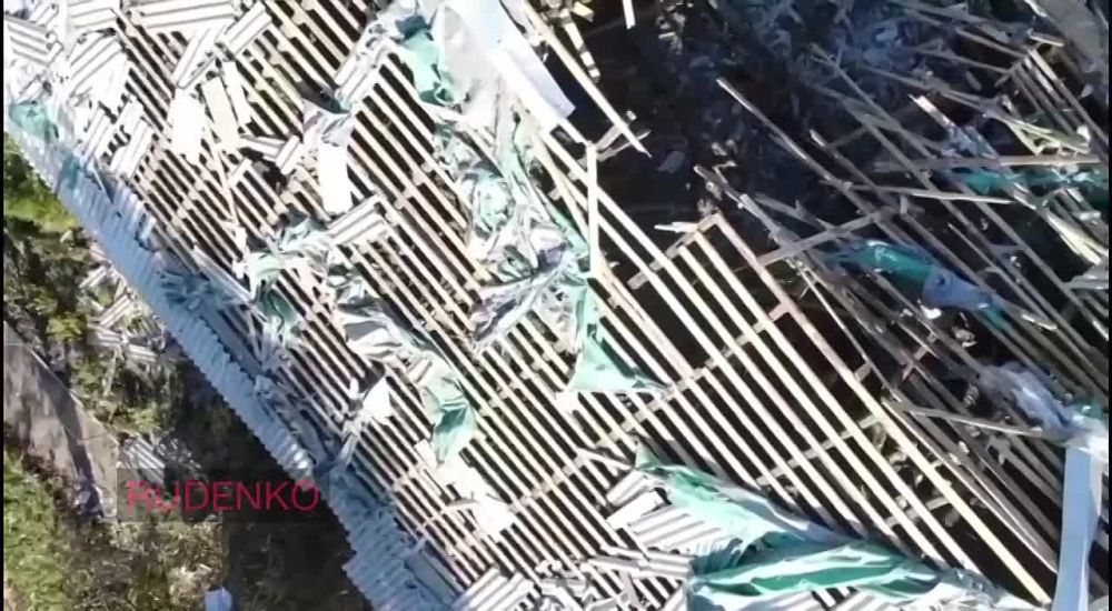 ������ �������: ����������� �������� ��������� ������������� ������ �. �������