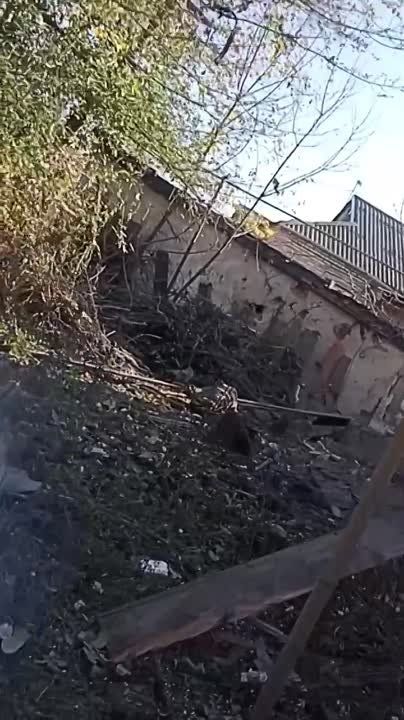 ������ �������: ��������� ����� ������� ������ ����� ��������� ������ ��������� � ���. ������� �������� ������������������ ������� � ������ ������