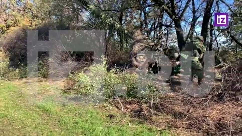 ���������� ������ ���������� ���������� ��� ��� �����������