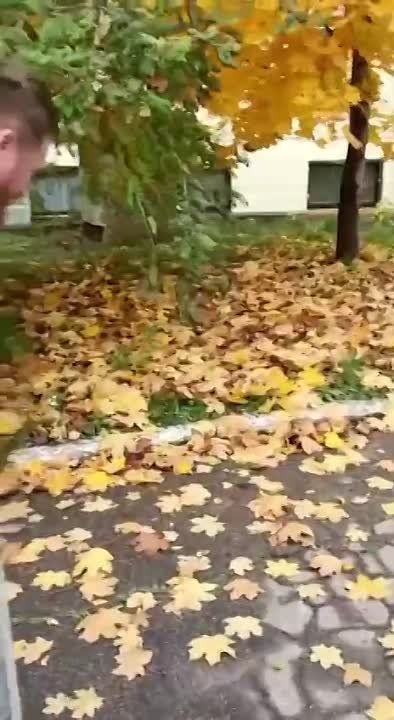 � ������� ������, � � ����� ������� ���� ������ �������?