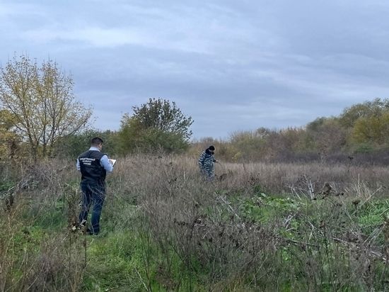 Глава СК взял взял на контроль расследование убийства девочки на Дону