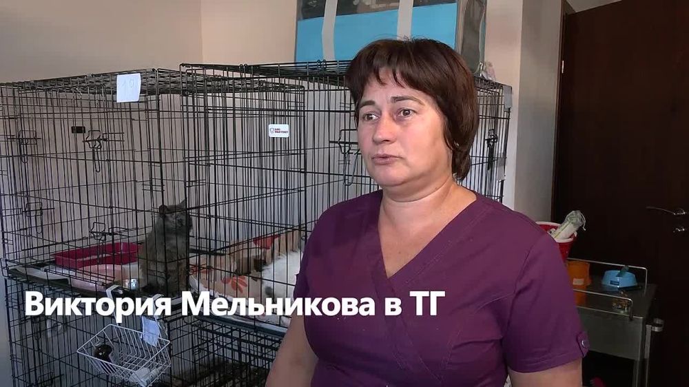 �������� ����������: ����� ����� � ����������� ���� � ���������, ��� ������� ��������� ����� ������ ������