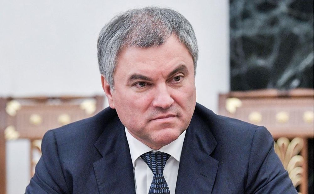 С 2014 года Украина потеряла 53,7% населения, заявил Вячеслав Володин