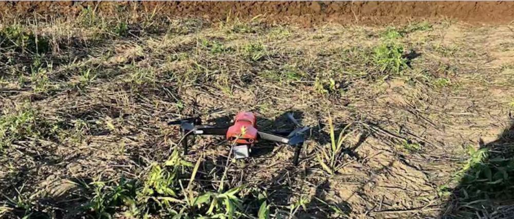 ������� ����� �������� � �������� ���������� �������� ������ ����������