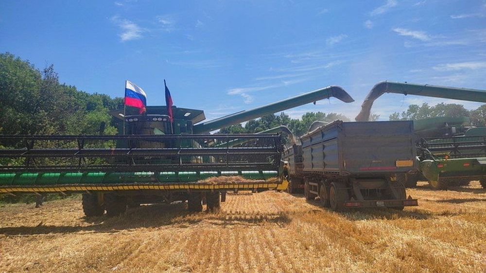 В ДНР собрали на 80 процентов больше зерна, чем в прошлом году