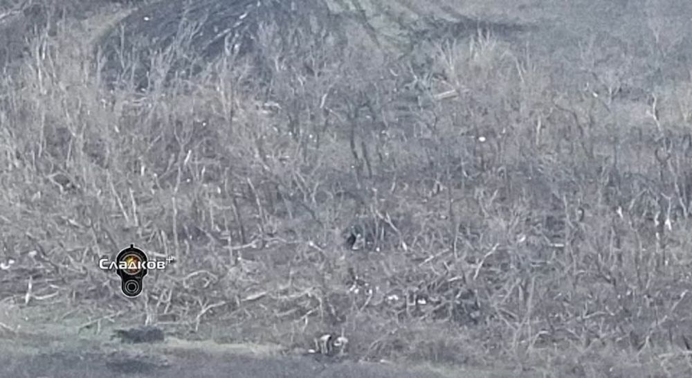 ��������� �������: ������ ����� ��� ���������? ��� ��� ��� ��������?