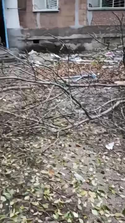 ������ �������: ������ ����� �� ���������������� ���� � ���������� ������ �������