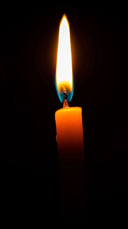 ������������ ����� �������: ���������, 84 - ������ ��������� � 4 ���� � ��������