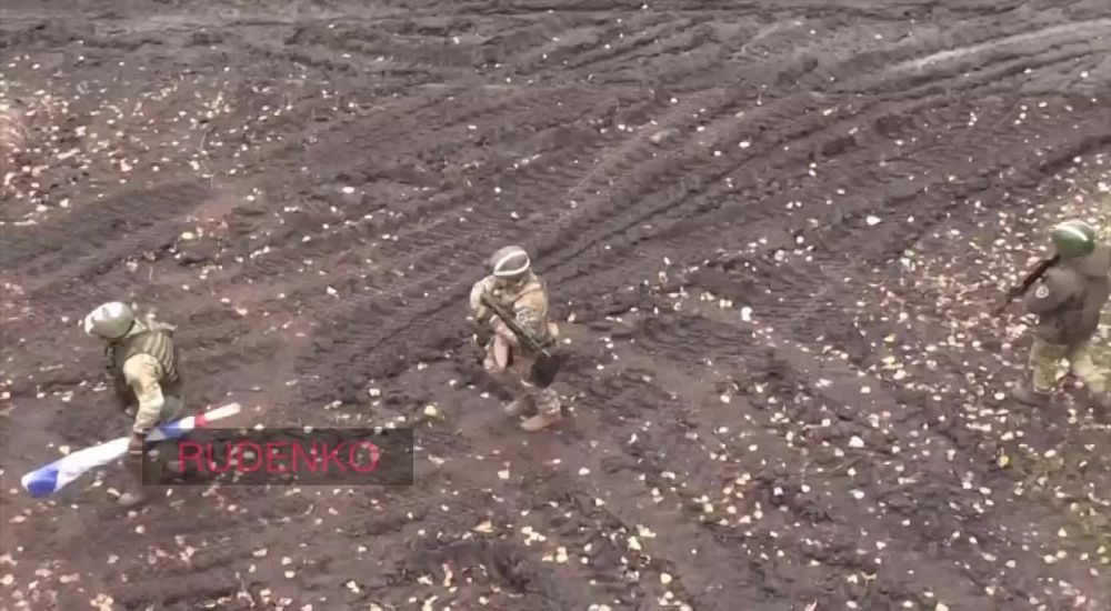 ������ �������: �������� ����� ������� ���� ������ � ���������