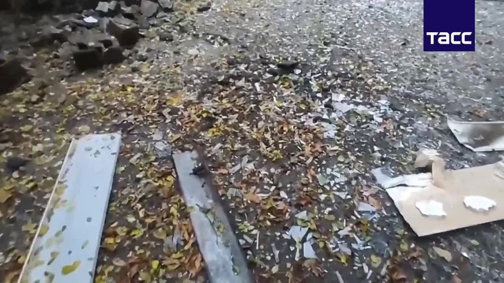 ���������� �� �� ������������� ����������� �������� ����� � 13 � ������ �������