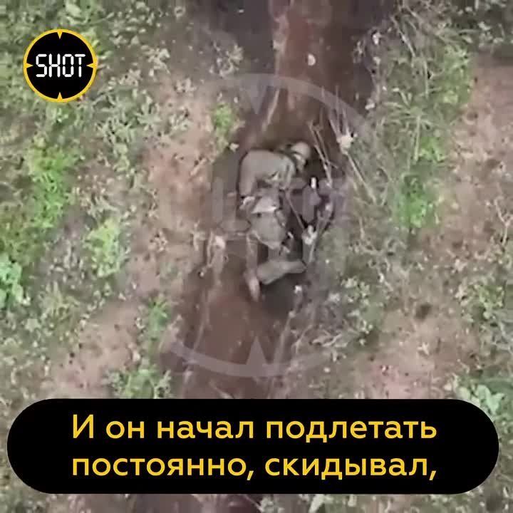 ������ ������������ ������, ���������� �� ����� ���