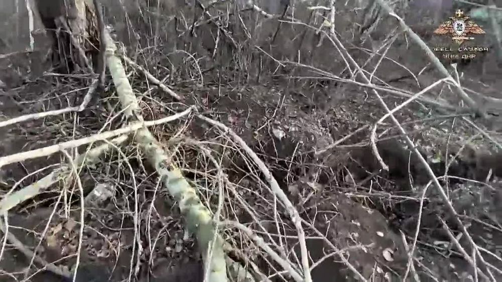 ������� ������ ������� ����� � ��������� ������� ��������� � ����� ����� � ���������� ���������