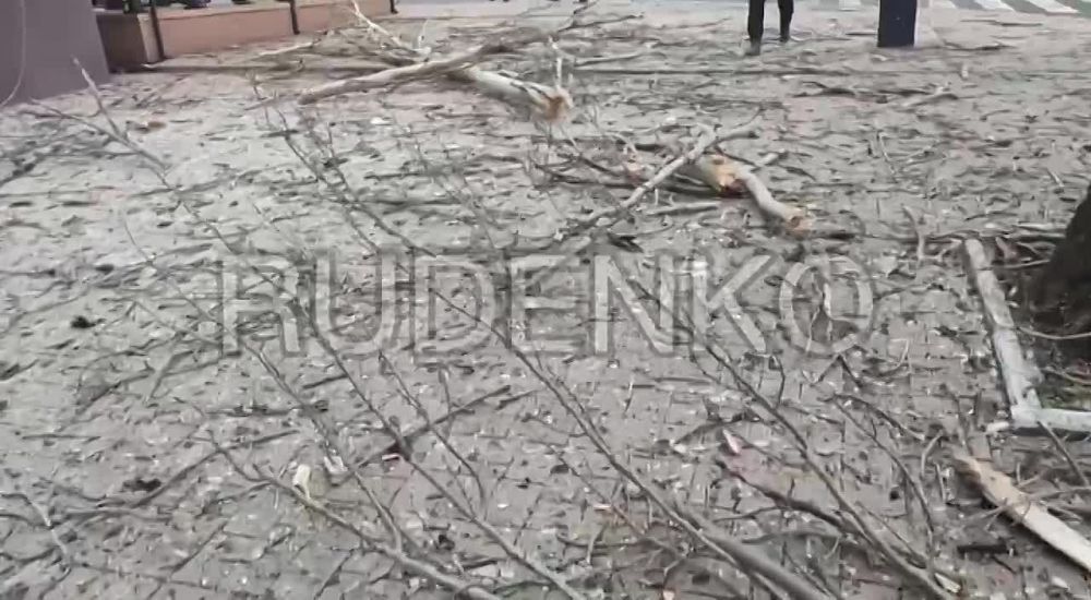 ������ �������: ����������� �������� ������ �������