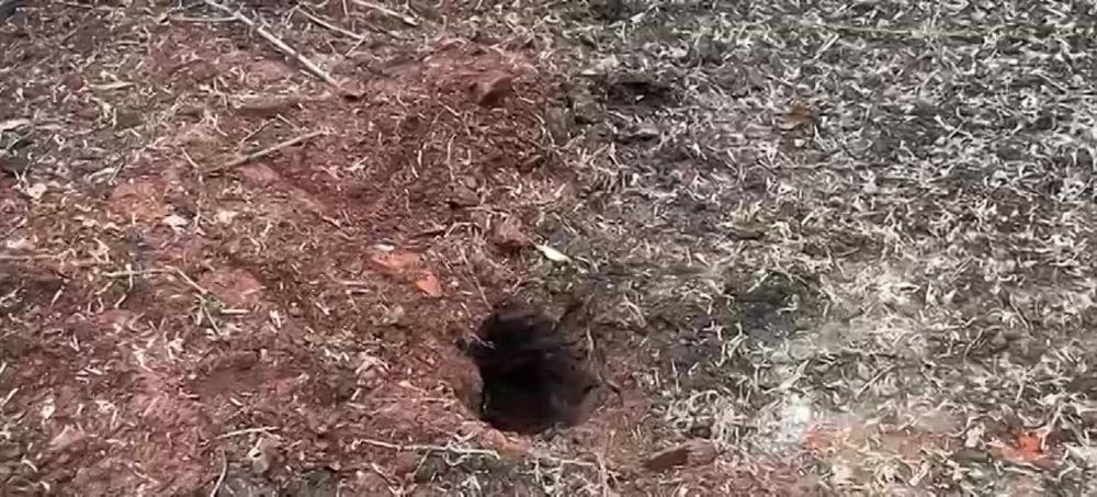 ������� ���������: ����������� �������� ������ ������� ����������� ���������