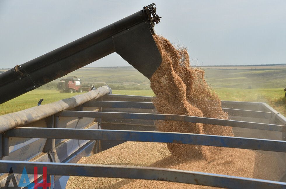 ДНР за восемь лет увеличила сбор урожая почти в три раза — Минагропром