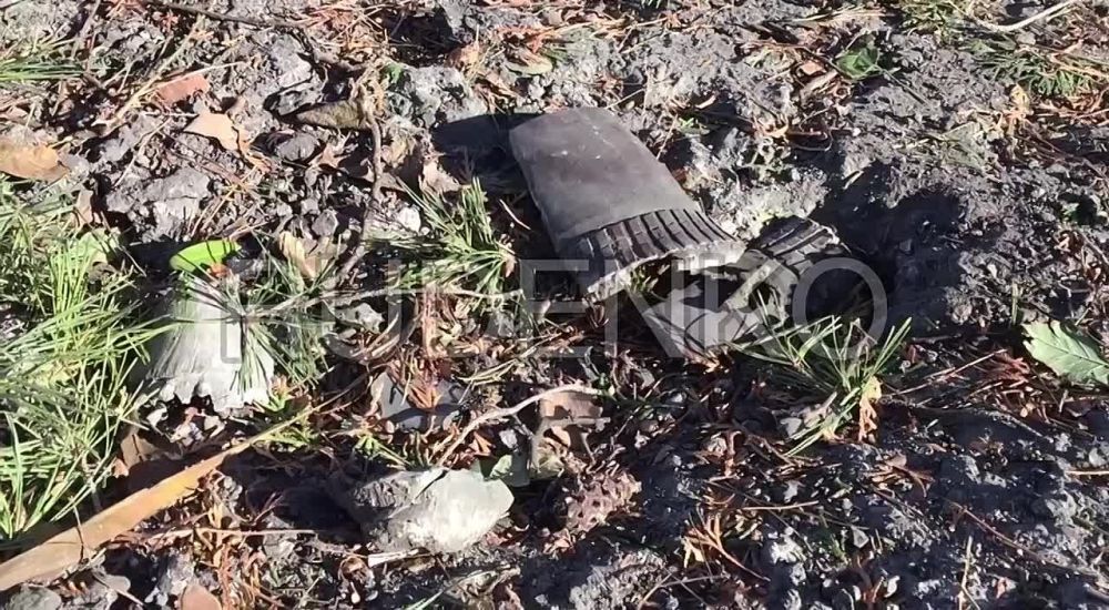 ������ �������: ������� ������������� ������ �������