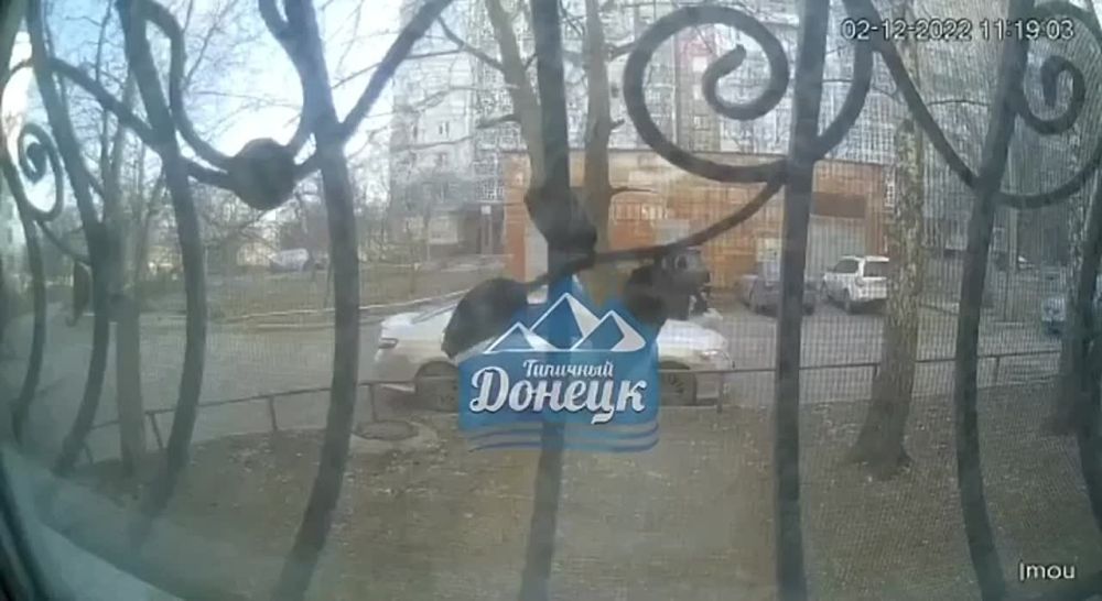 ���� ������������ �� ������ ���� ������� ����� �� �����