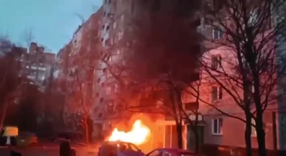 ������ �������: ������� ���� ����� �� �����, ����� ����������, ������� ����