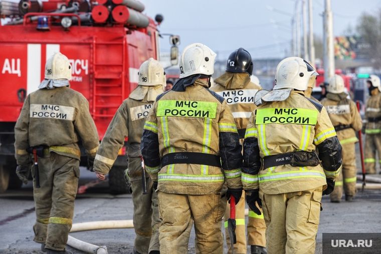 ��� �������� ��� ����� � ����� ���� ��������������: ������-����������