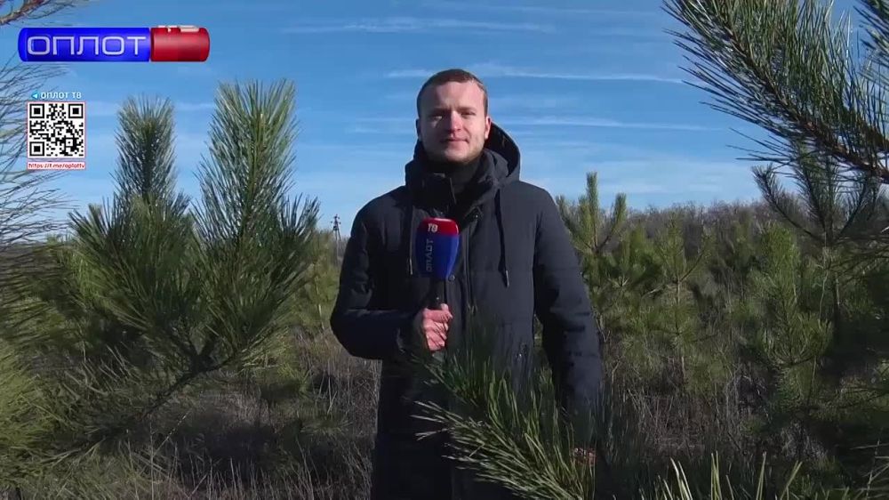 ��������� ���� � ������ ����