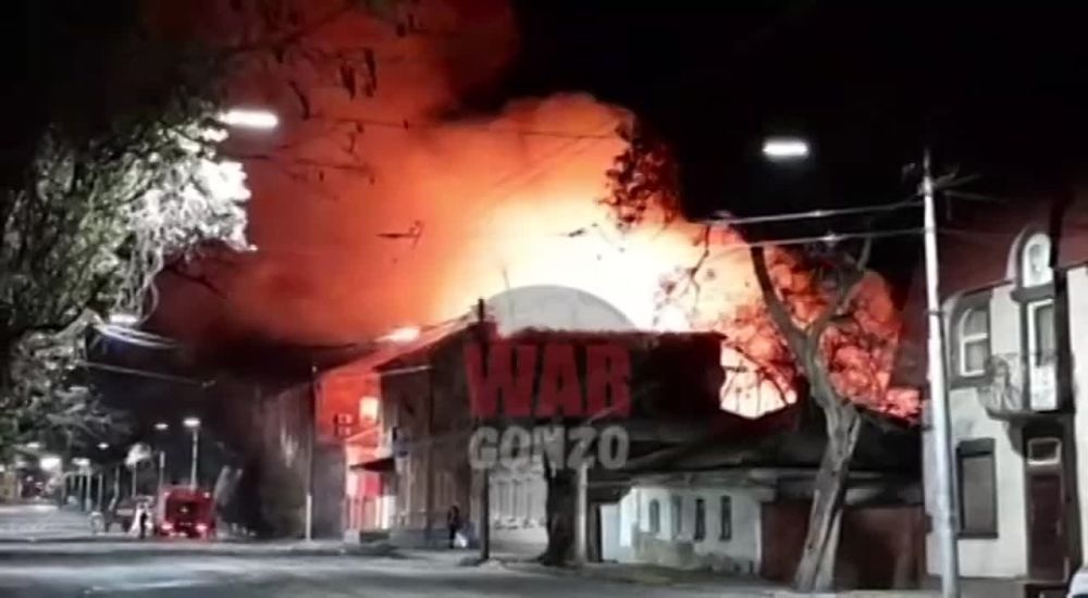 WarGonzo: ������ ����� � ����� ����� �� ������ �������