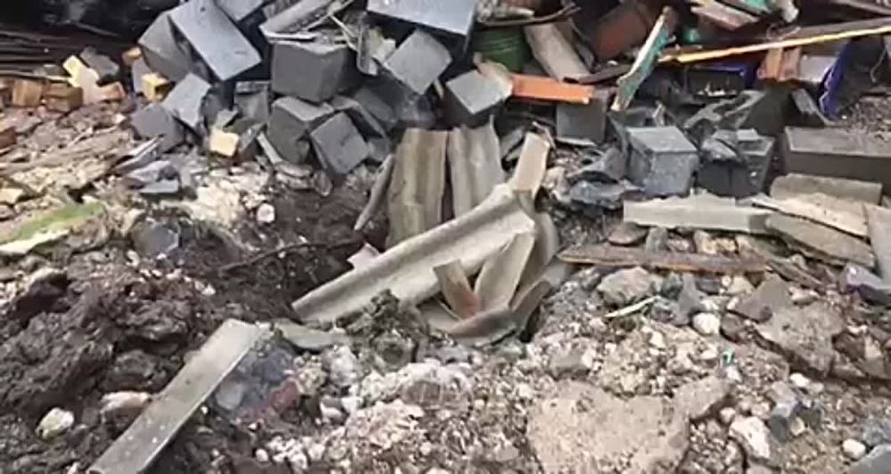 ���� ������ ��� ���� �������