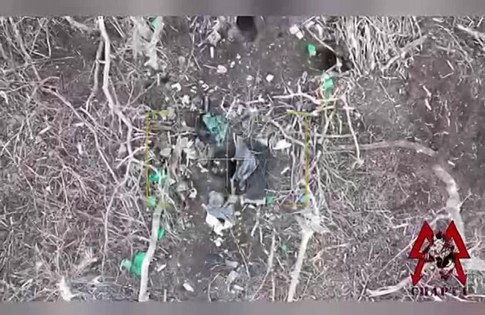 ������� ���������: ����� "������" ���������� ���������� ���������� � ������� � ������ ������������� � ��������