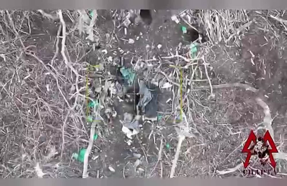 ���������� ������������ ������ � ���� � ����� ��� � ������������ �������