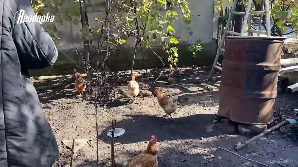 ����� � ������ � ������� � �������, ������� �������� ������� ��� �������� ����������
